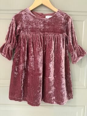 Gymboree Mauve Pink Velvet dress 3t Lined Sparkle Buttons
